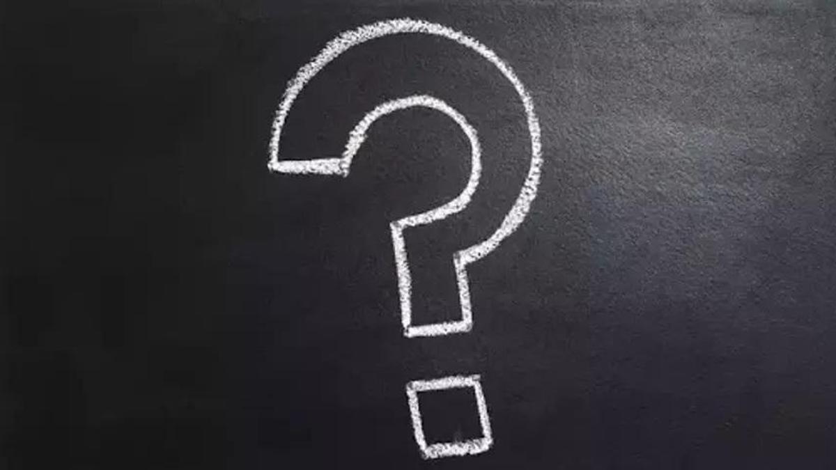 Saz Kedisi Özellikleri Nelerdir? Saz Kedisi Nerede Yaşar?